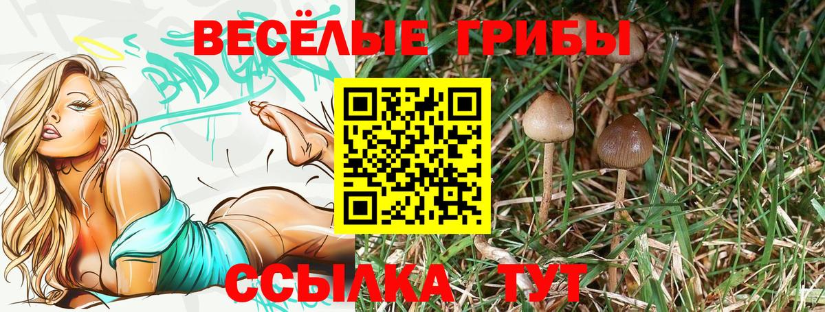 Галлюциногенные грибы мицелий Каменка