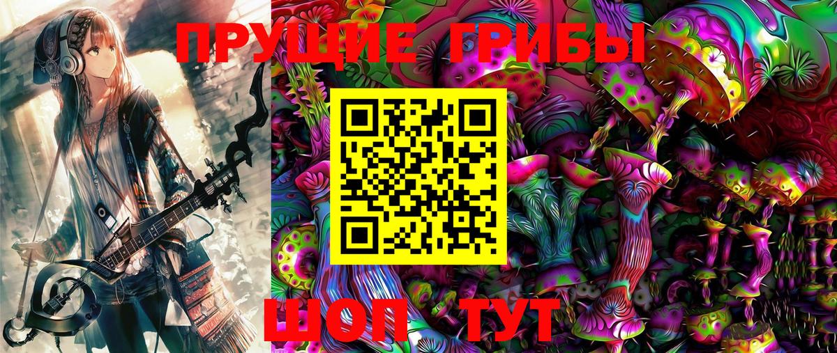 Псилоцибиновые грибы мицелий  Вход с VPN  Псилоцибиновые грибы Cubensis  продажа наркотиков  Каменка 